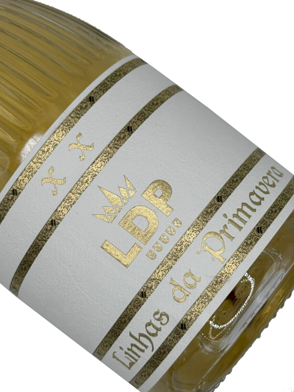 Linhas da Primavera Loureiro 2024